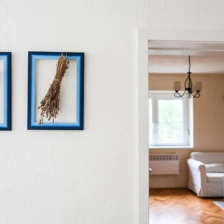 Angelina Vendeghaz *