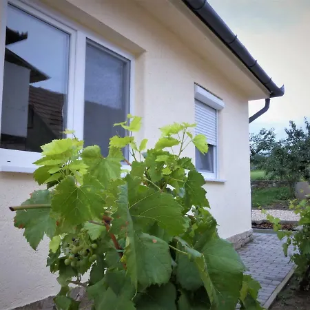 公寓 Angelina Vendeghaz *