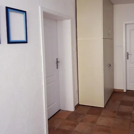 Angelina Vendeghaz *